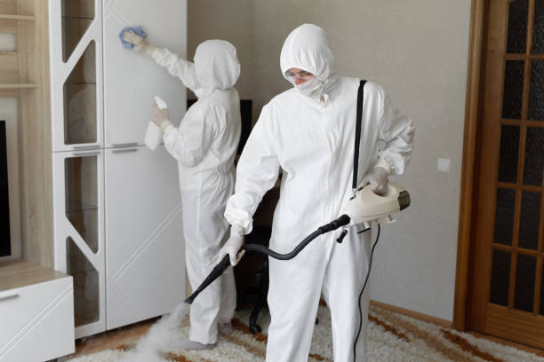 Best Basement Mold Remediation in Pine Ridge, FL